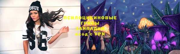 МДПВ Алзамай