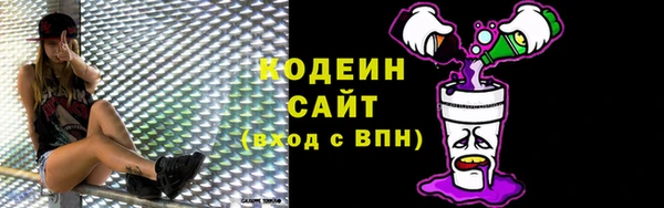 хмурый Апатиты