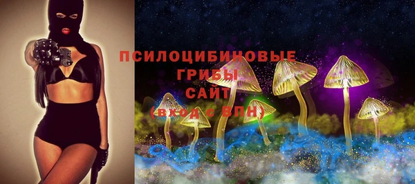 дживик Алексеевка