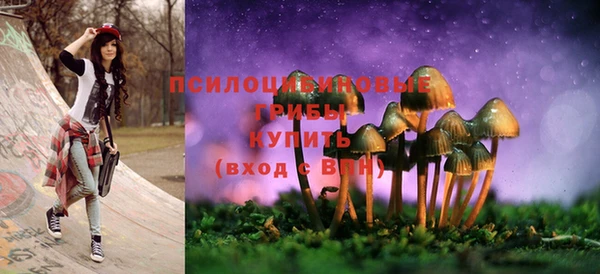 дживик Алексеевка