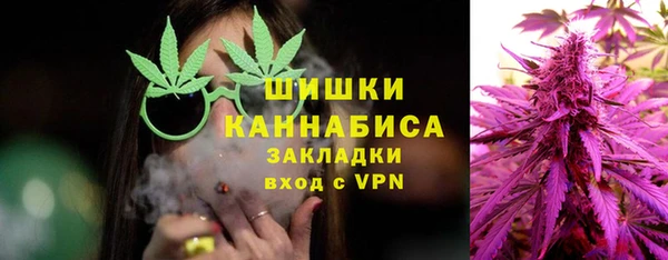 ПСИЛОЦИБИНОВЫЕ ГРИБЫ Анива