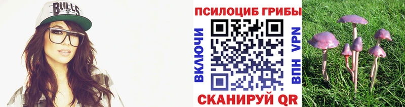 Псилоцибиновые грибы Psilocybine cubensis  Любань 